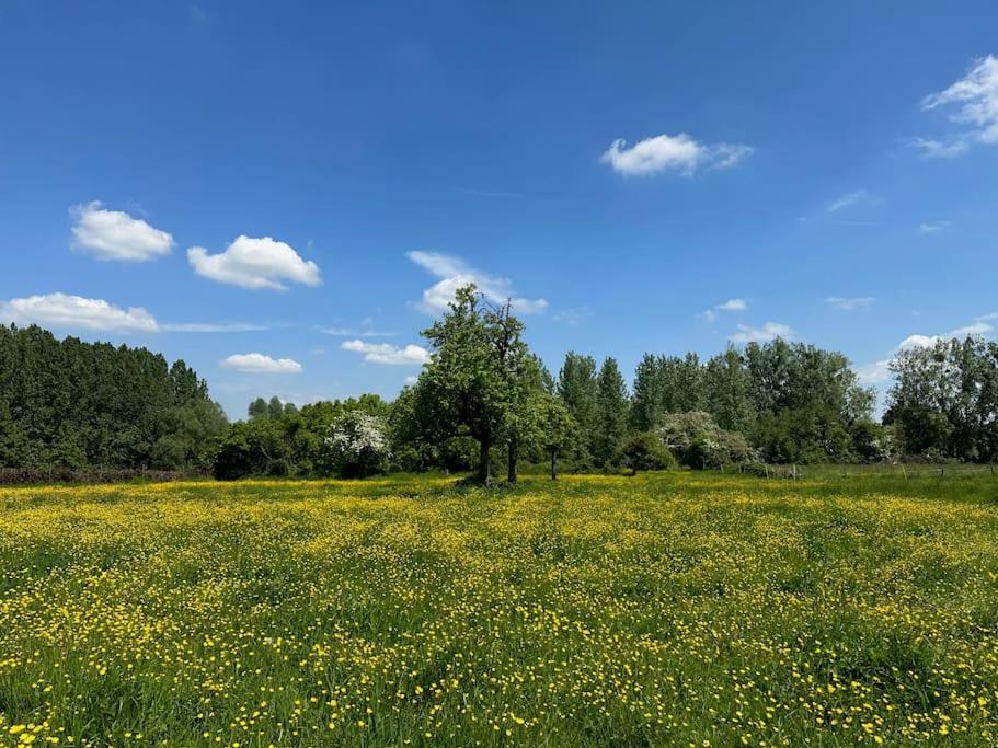 Vakantiewoning Hoogveld Kortessem المظهر الخارجي الصورة