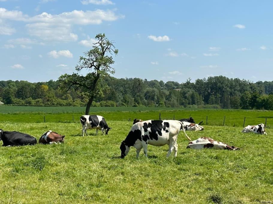 Vakantiewoning Hoogveld Kortessem المظهر الخارجي الصورة